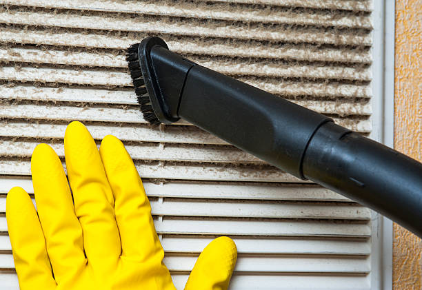 Best Ductwork Cleaning Services  in Oak Trail Shores, TX